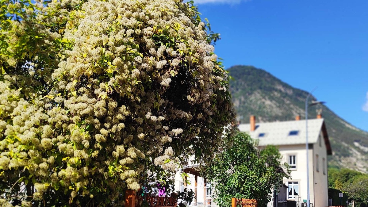 LʼArgentiere-la-Bessee Apartment | Nice little apartment under the roof of a former school