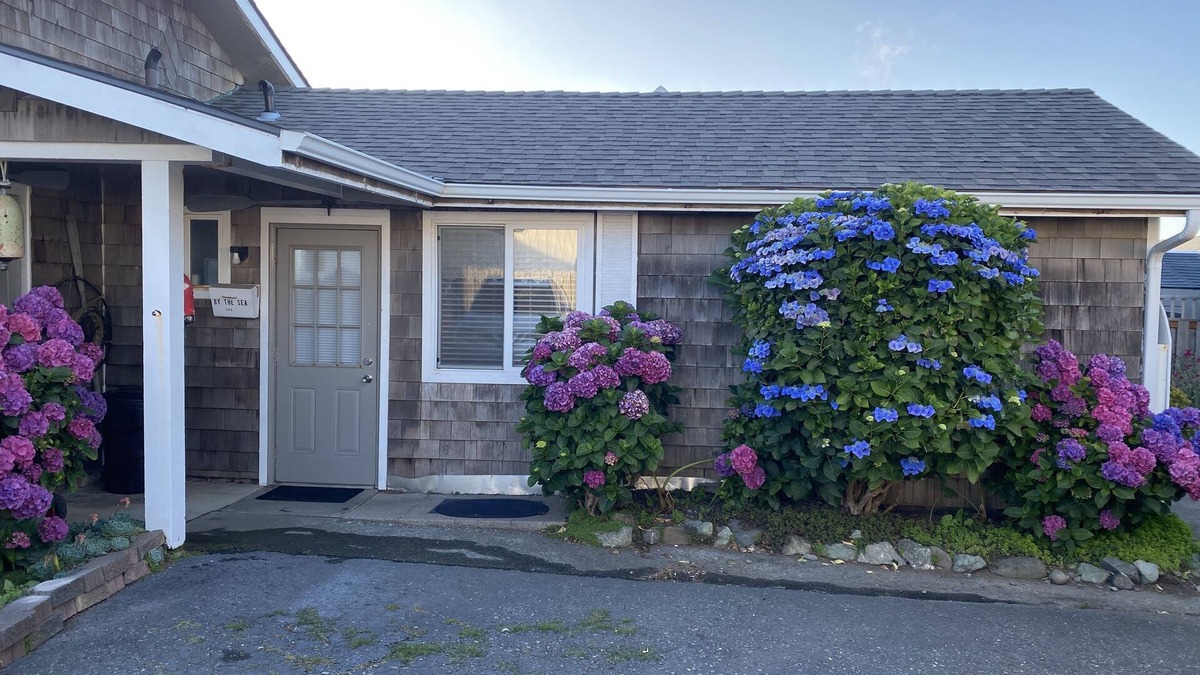 Crescent City Apartment | Nice studio right by the ocean