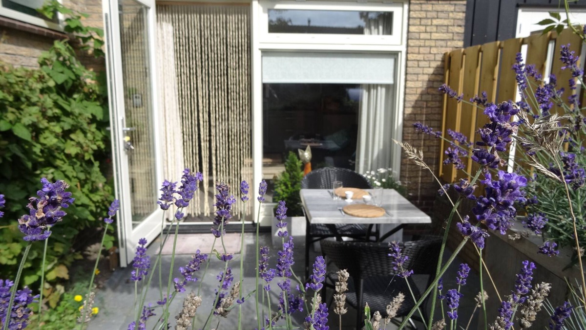 Callantsoog House | Nice vacation rentals for 2 people, cozy and nice!