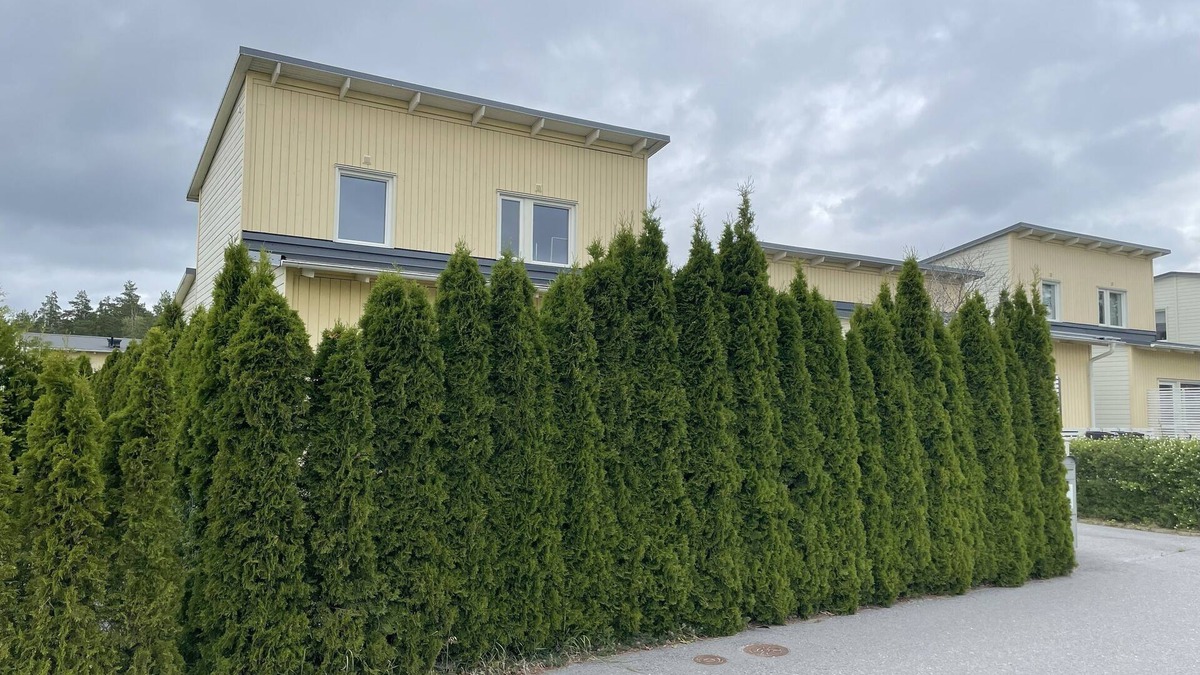 Steningehojden Villa | Nice Villa in Stockholm Near Arlanda Airport