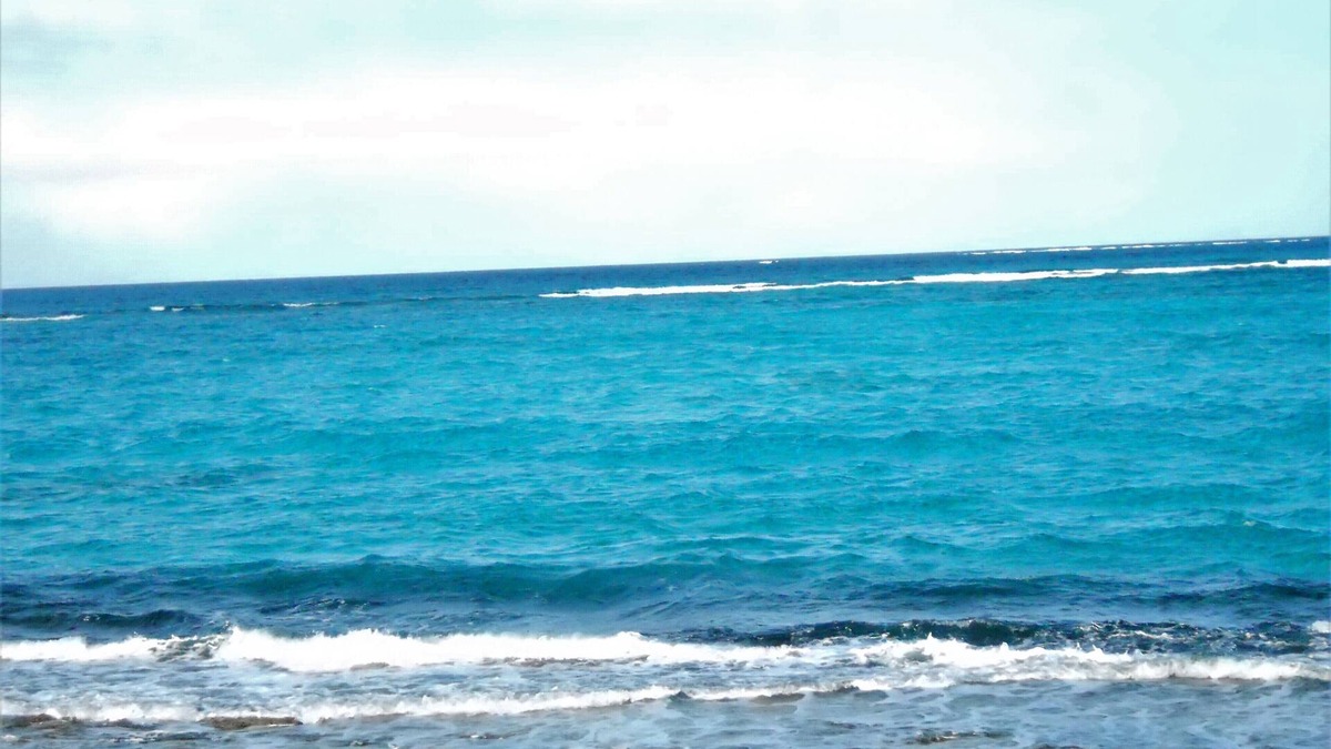 Green Turtle Estates House | Nice Wooden House, a few steps from the beach - sleeps 6 - Strategic location