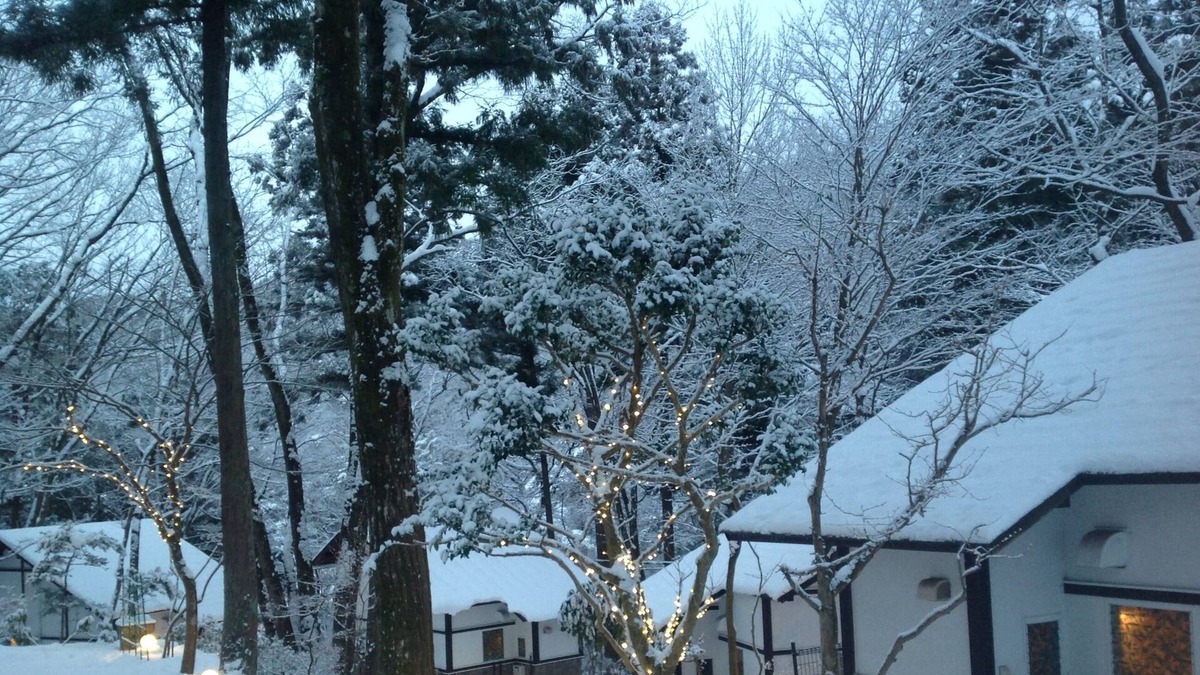 Kinugawa Onsen Cottage | Nikko/Cottage/100MinFromCity/NearStation