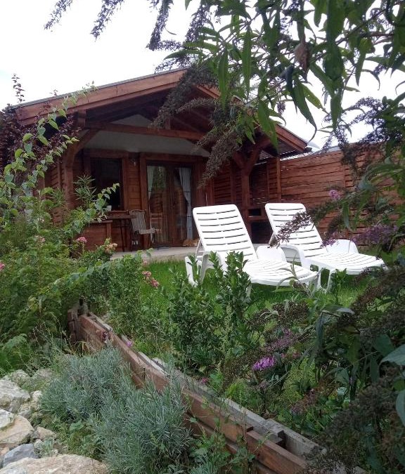 Bajina Basta Apartment | NIKOLIJA 3