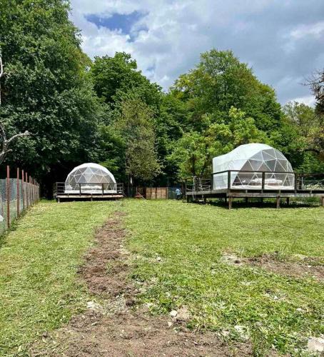Ambrolauri Other | Nikorstminda glamping - Batoni's forest