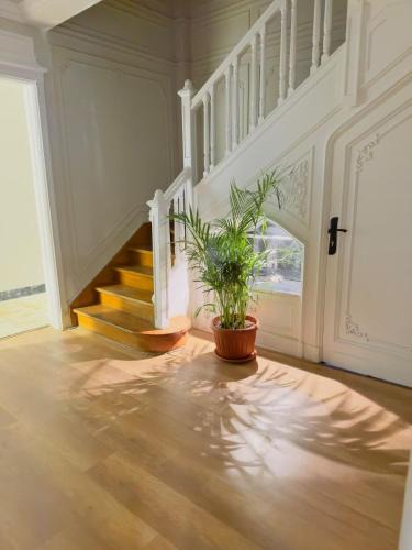 Downtown Cairo Apartment | Nilefront 3BR Steps fromTahrir Sq Zamalek island