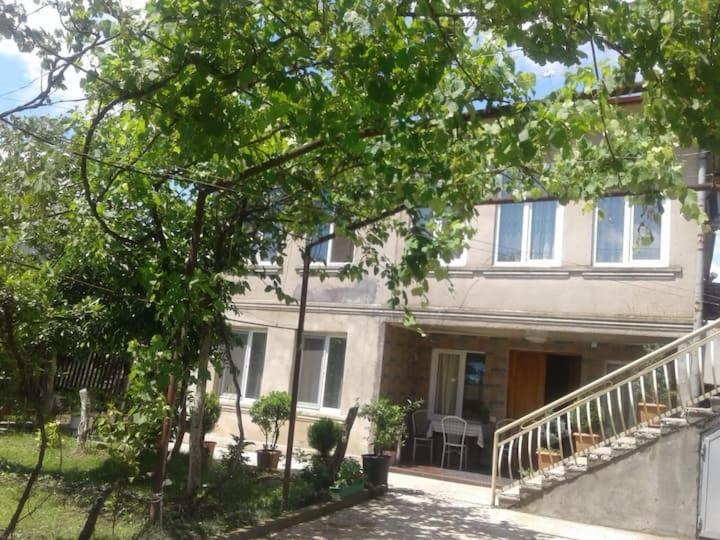 Zugdidi House | Nino Apartement Zugdidi