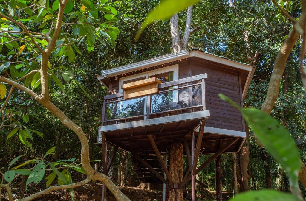 Maina Resort | Nirvana Hill Resort