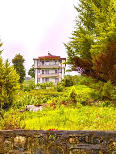 Pazar Apartment | Noğa Suit Apart