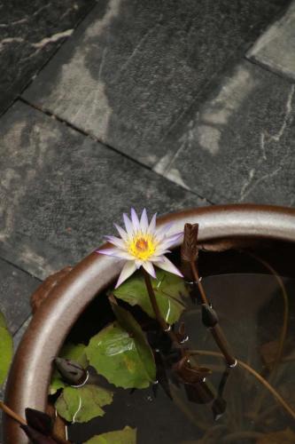 Qixing Hotel | NO.9 Alley Yuchen Res Dence