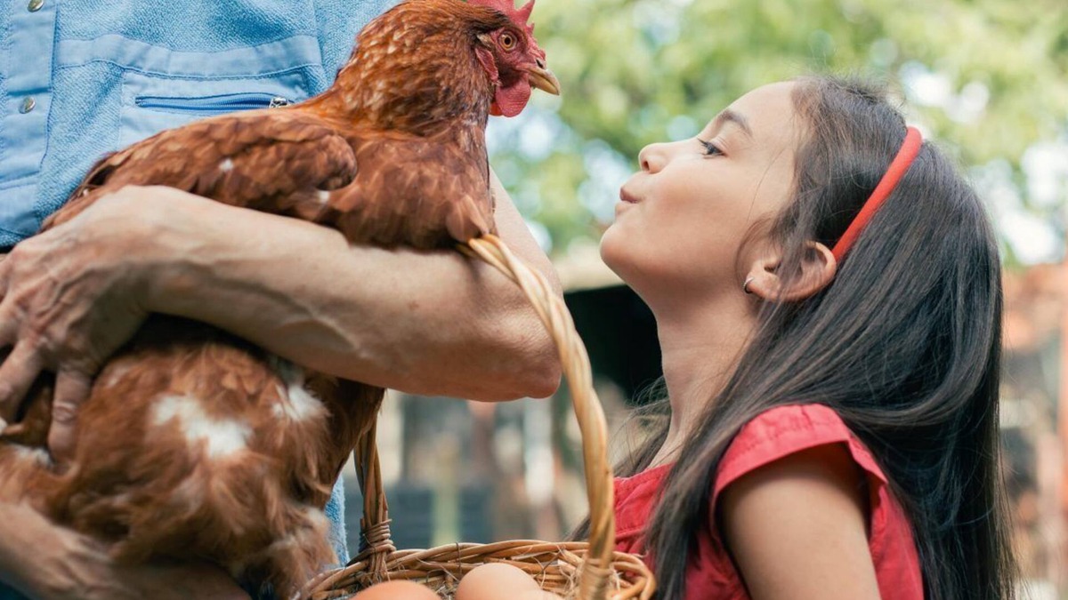 Cary Cottage | NO CLEANING FEE! - Longer Stay Discounts! Backyard Chickens!