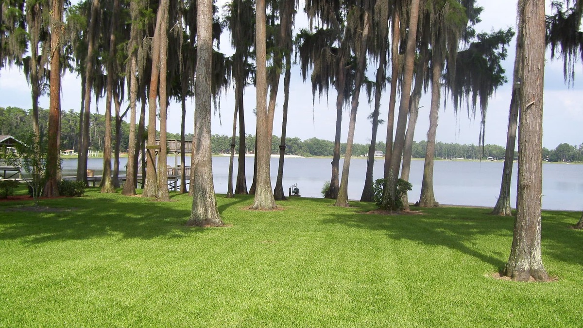 Moon Lake Estates House | 'No Place Like Home' Welcome To The Lake
