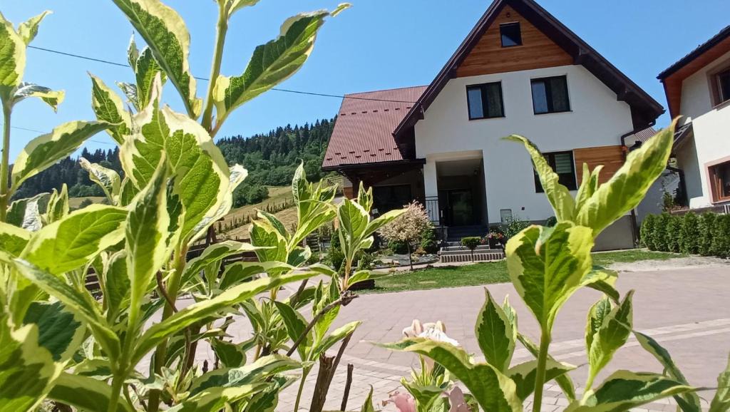 Ochotnica Dolna House | Noclegi u Lidii