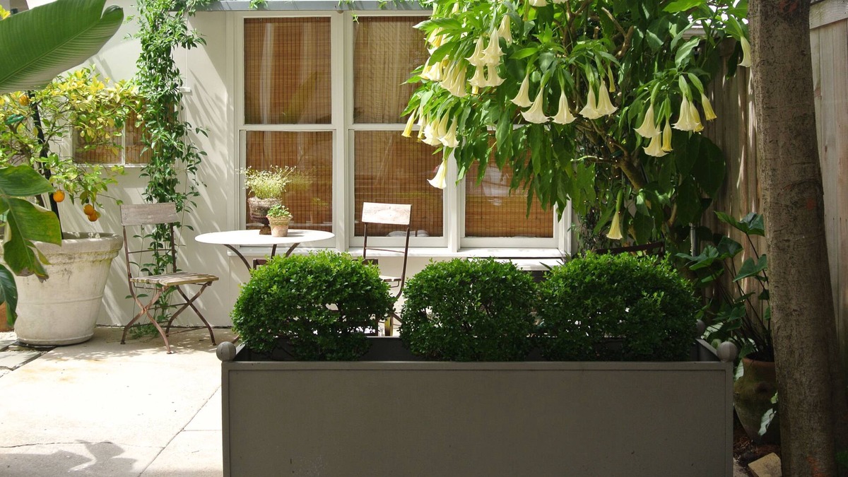 Audubon Cottage | Nola Cottage - Safe, Convenient Area/Sleeps 3/Brand New Bath/Walk To Tulane