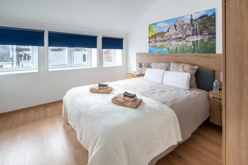 Dinant Apartment | NOMAD APARTMENTS - Vue collégiale