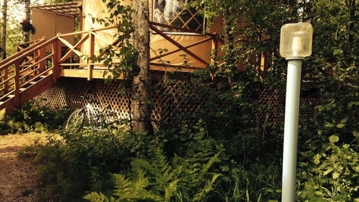 Talkeetna Apartment | Nomad Yurt, #4, Sauna, Family Gatherings, fire pits, walking distance to town