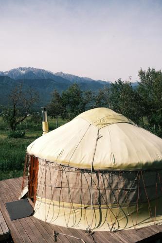 Tuzdybastau Other | Nomad Yurt, 60 year old
