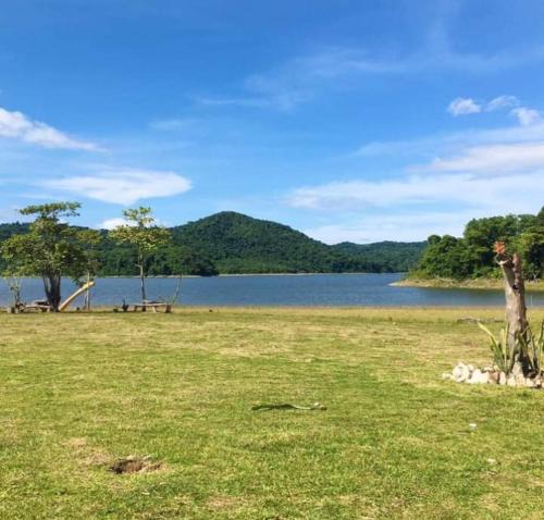 Taytay Other | Nongangellakefarm