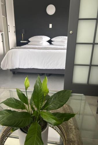 Myoli Beach Apartment | Nora's Place