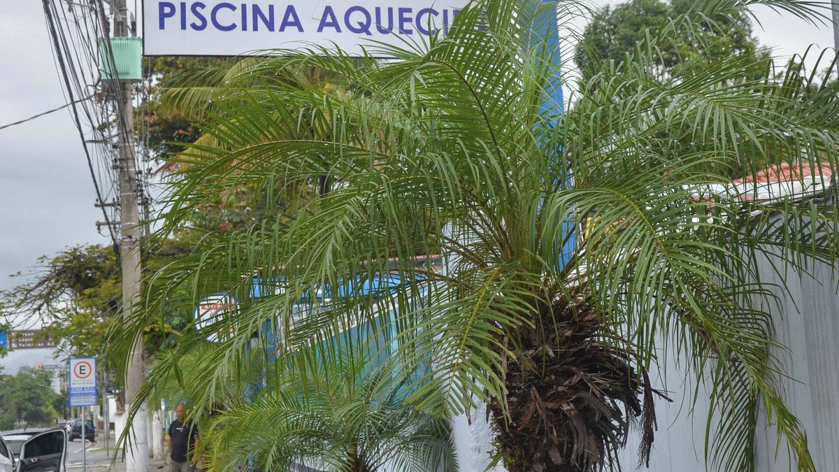 Jardim Primavera House | North Coast Hotel