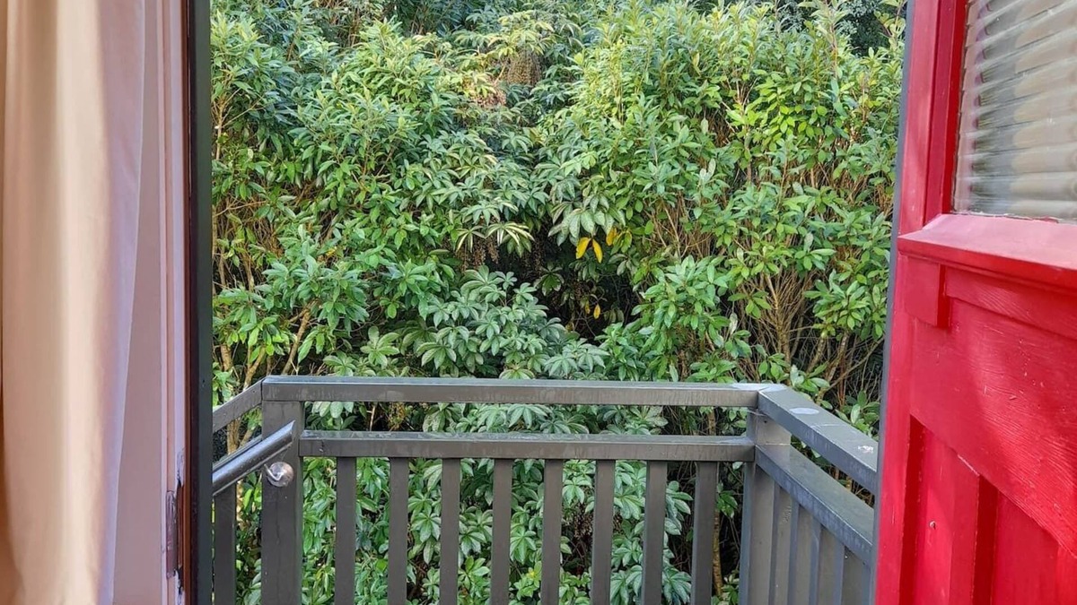 Dunedin House | North Dunedin Woodland Sanctuary