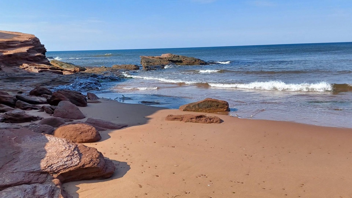 French River Cottage | North Shore Ocean View Cottage- Access To Private Beach For Cottagers!