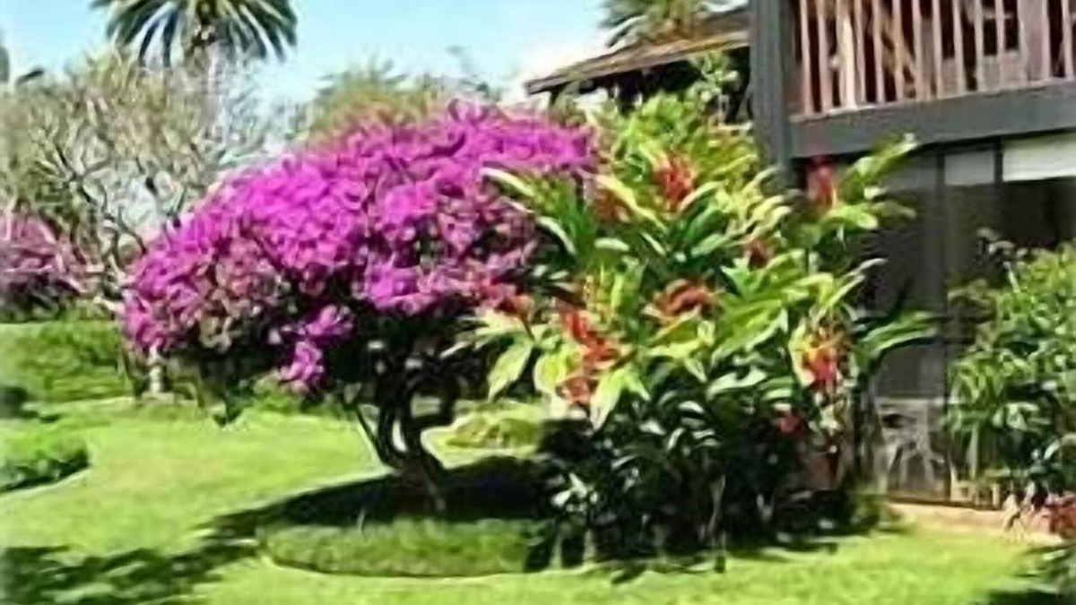 Kahuku Condo | Northshore Hawaiian Experience