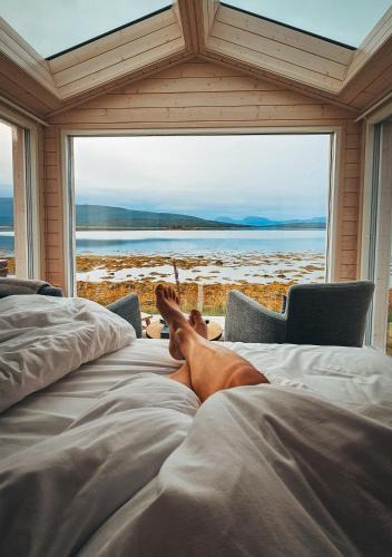 Trany Cabin | Norwegian Wild