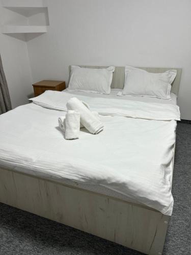 Azuga Apartment | Nova Montan Azuga
