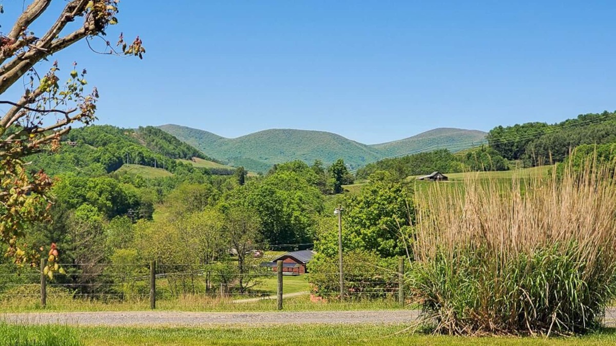 West Jefferson Cottage | NOW BOOKING MOUNTAIN TIME - Home Minutes From Downtown West Jefferson, F/P