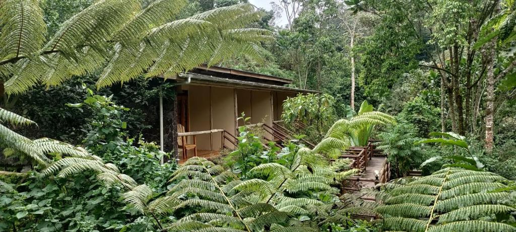 Western Region Hotel | Nshongi Camp