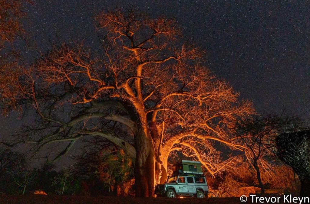 Ha-Lambani Cabin | Nthakeni Bush & River Camp