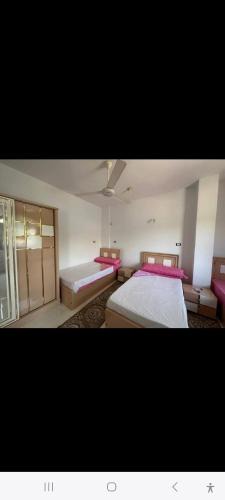 Aswan Apartment | Nubian Bride guest house
