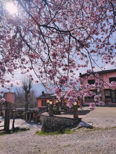 Bettola House | Nuovo Agriturismo Villa Enrichetta