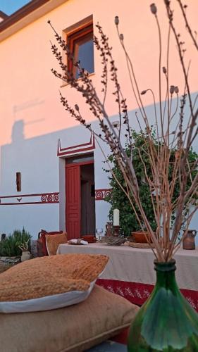Esterzili House | Nuragic Temple