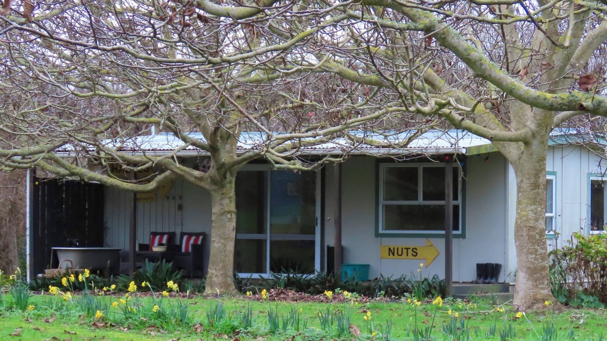 Kai Iwi Cottage | Nut Cottage