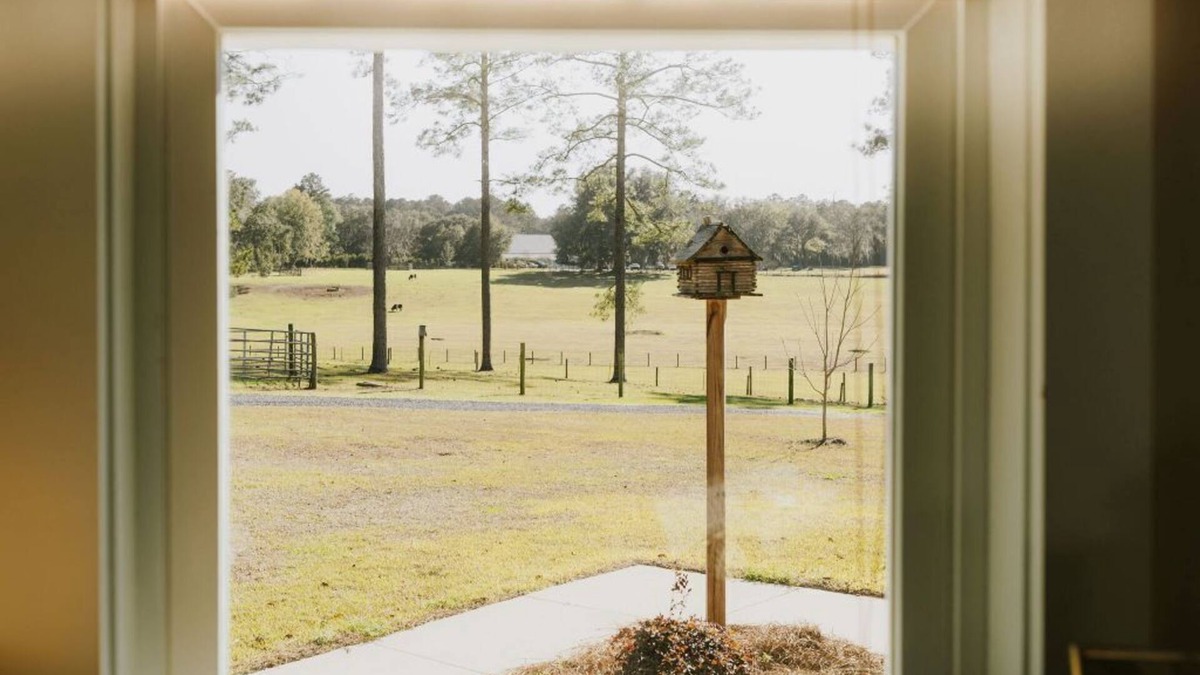 Tallahassee Other | Nutbird Hill Farm: Charming 2-bed cottage in historic red hills of Tallahassee.