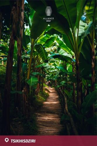 Tsikhisdziri House | Nutsa House