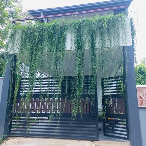 Tangalle Hotel | Nuva Villa Tangalle
