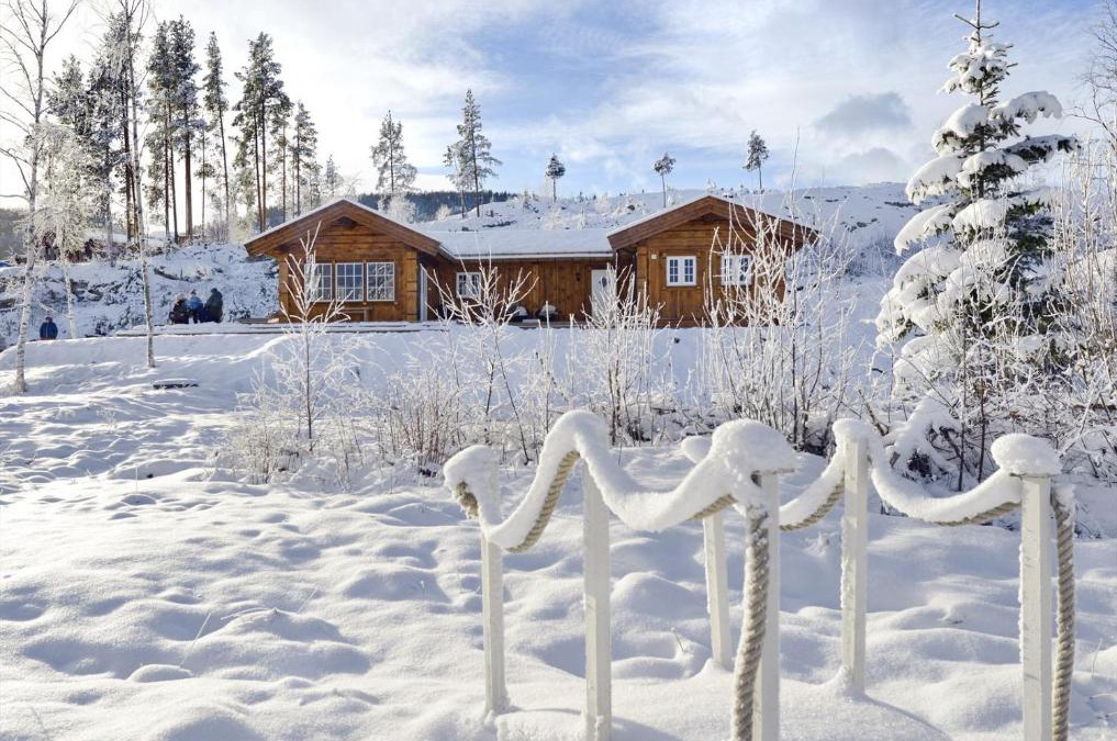 Fla Municipality House | Nydelig og usjenert hytte nær Flå, fjell og vann.