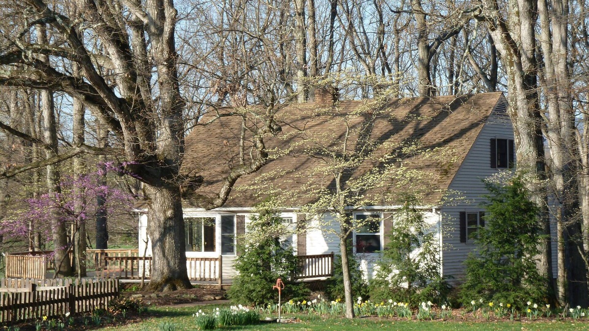 Lyndhurst House | Oak Tree Cottage: Beautiful farm with mountain views.
