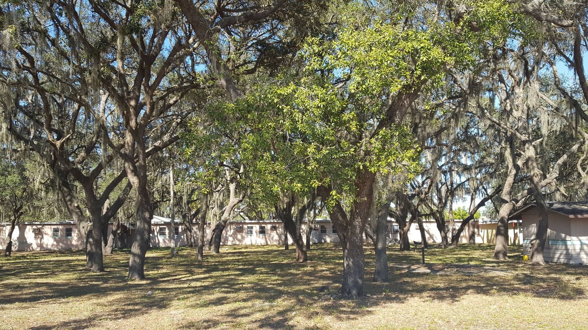 Florida South Atlantic Coast Hotel | Oak Tree Inn