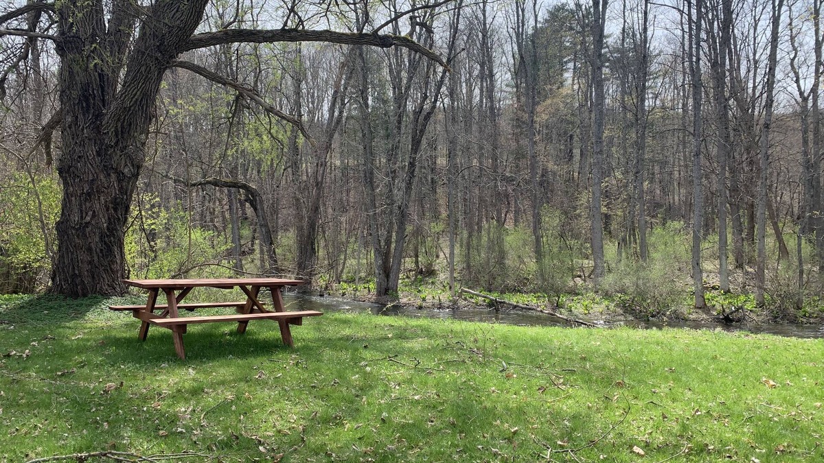 Fly Creek House | ⭐️Oaks Creek Manor⭐️NEW Listing⭐️ON Oaks Creek Sleep7