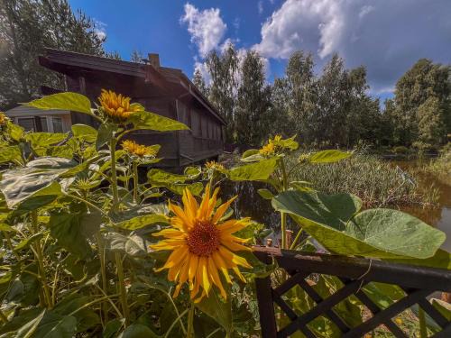 Glodowo Villa | Oasis by the Pond at Lake Śniardwy