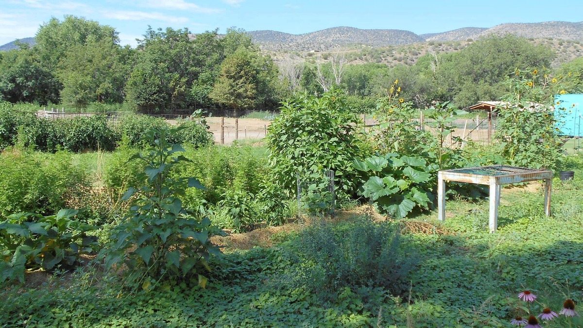 Mule Creek House | Oasis by the Wilderness