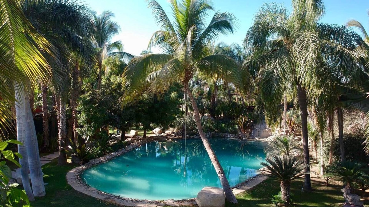 San Jose del Cabo Cottage | Oasis in San Jose del Cabo: Jardin Tropical