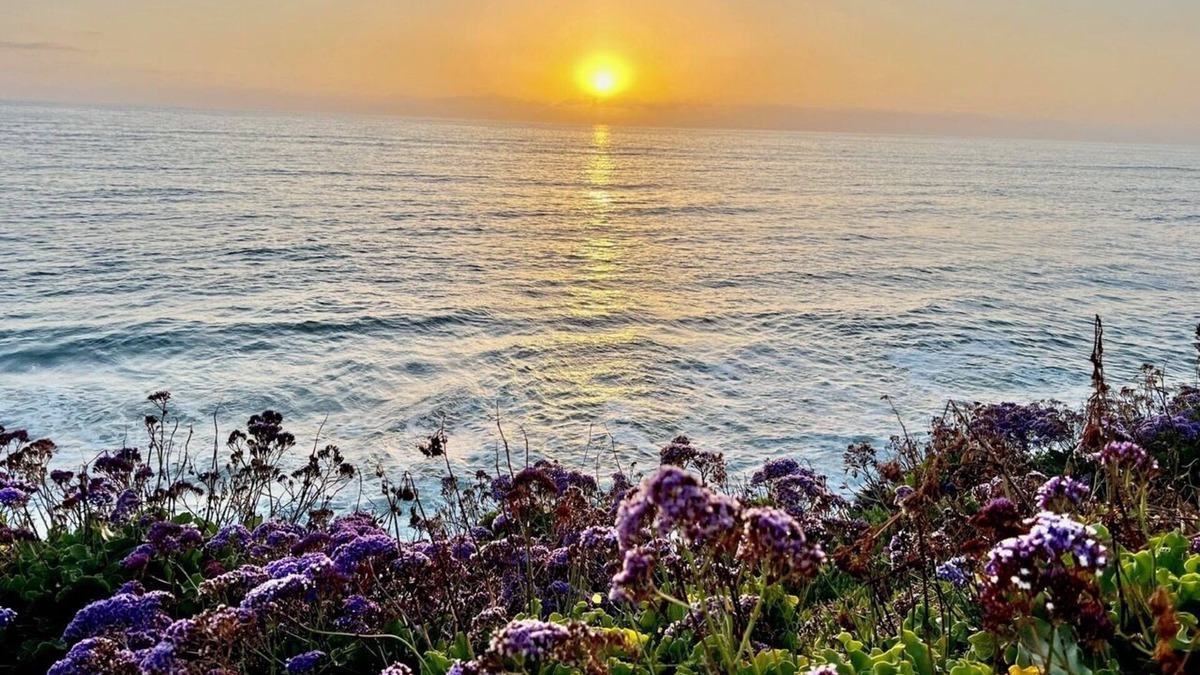 San Diego Cottage | Ocean and Sunset Paradise in Ocean Beach