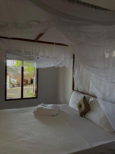 Pottuvil Division 2 Hotel | Ocean Vibe Srilanka