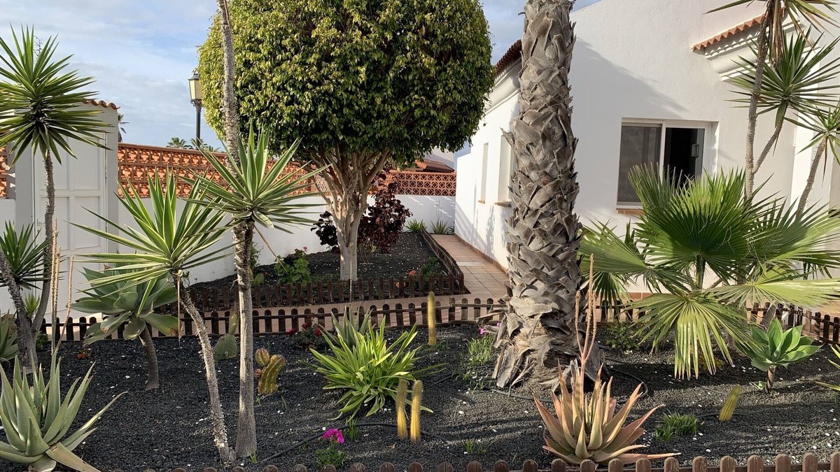 Corralejo Villa | Ocean Vibes is spacious private villa with a large pool and beautiful gardens.
