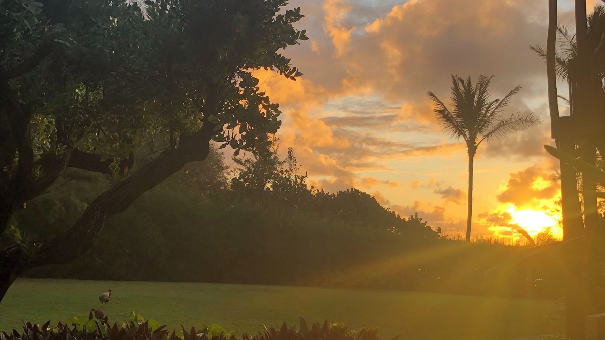 Lihue Condo | Ocean view 2 bedroom centrally located condo. Steps from the ocean!