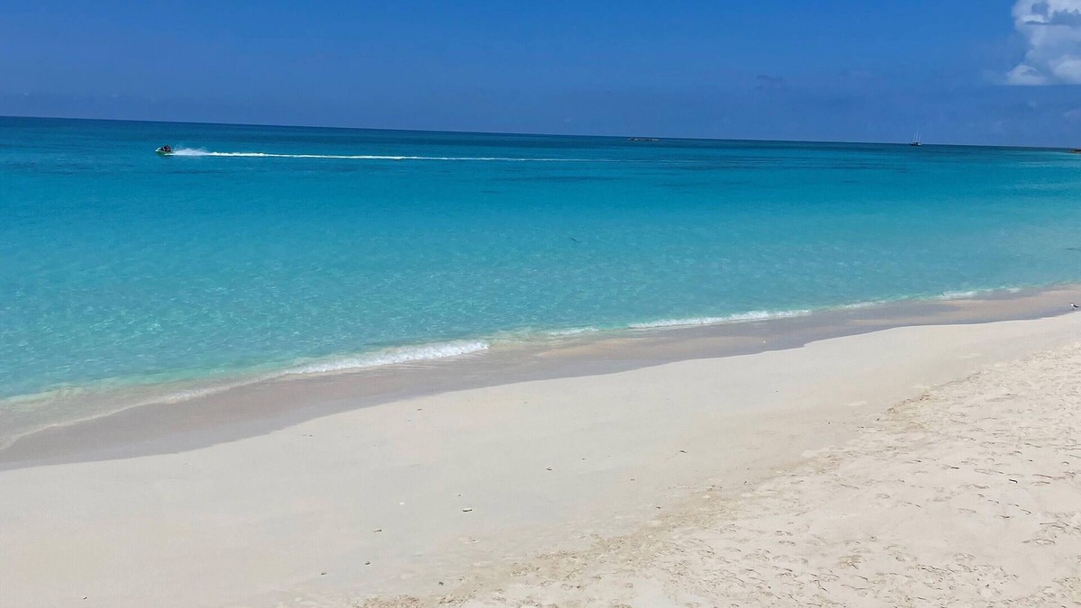 Alice Town Apartment | Ocean View 2 Bedroom Condo in Bimini Bay